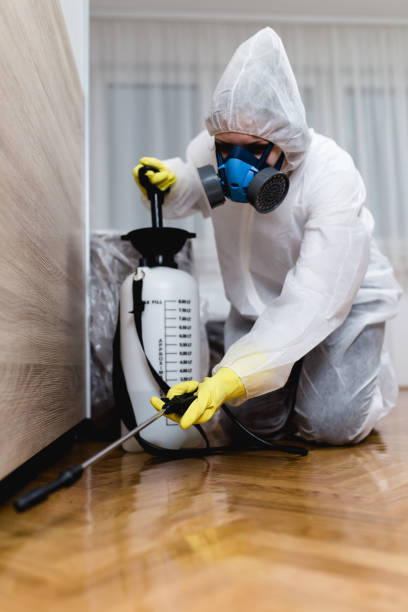 Best Fumigation Services  in Germantown Hls, IL